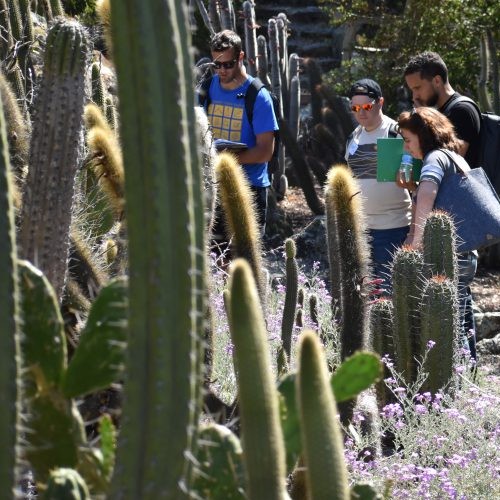 Cacti-Outside-Older-Students_500x500