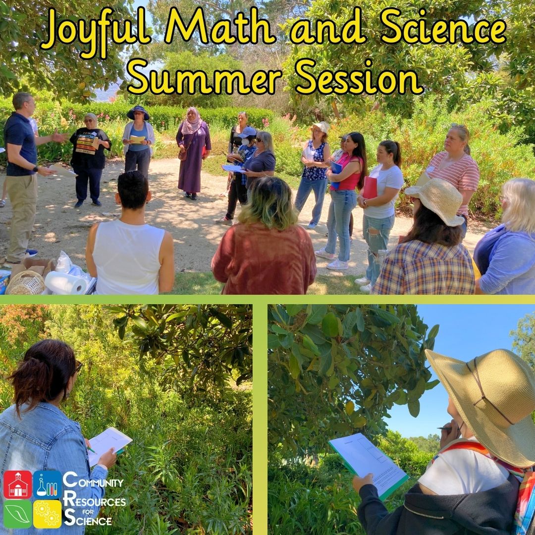 Teachers gathering in a Garden and observing plants