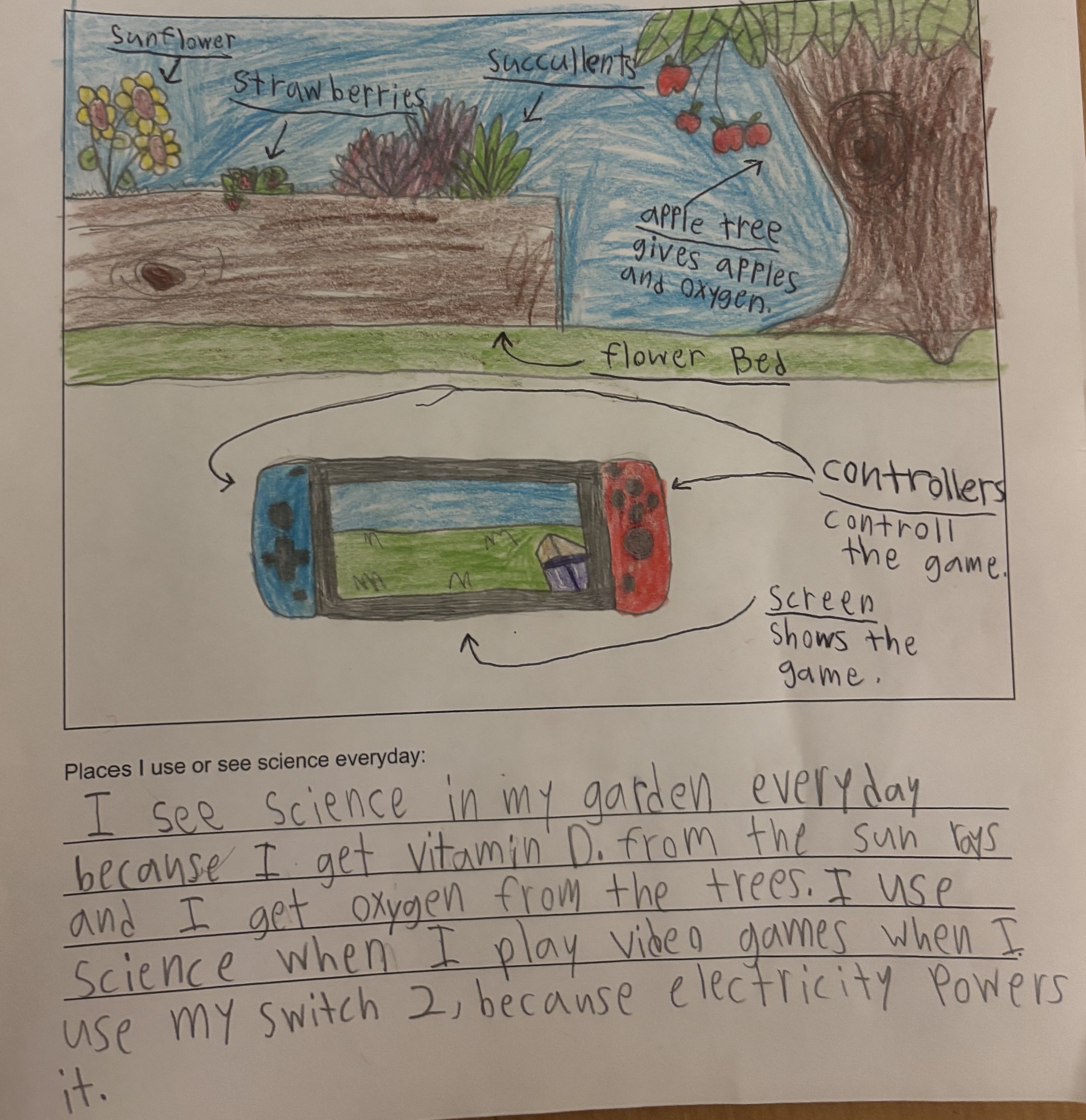 Daily life Piedmont Ave