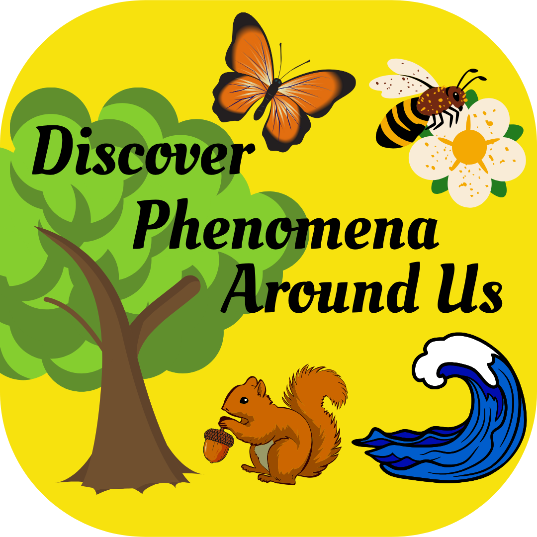Discovery Phenomena