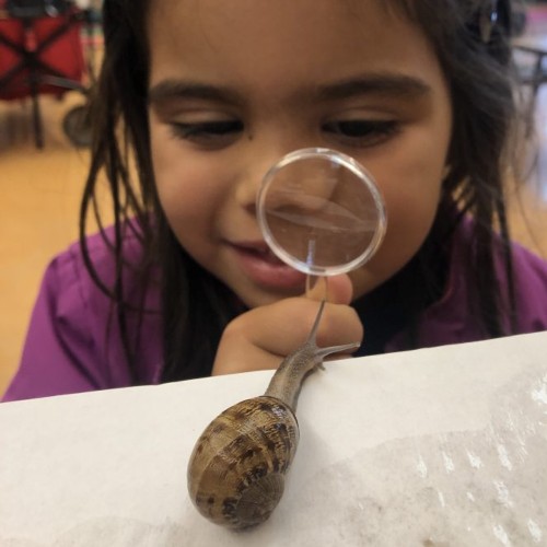 Girl-Snail-Magnifying-Glass_500x500