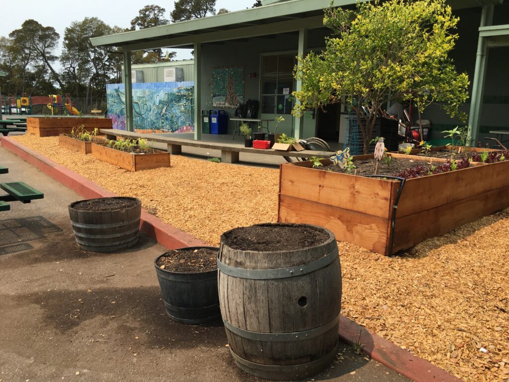 Activating School Gardens during COVID:A Thriving Outdoor Learning ...