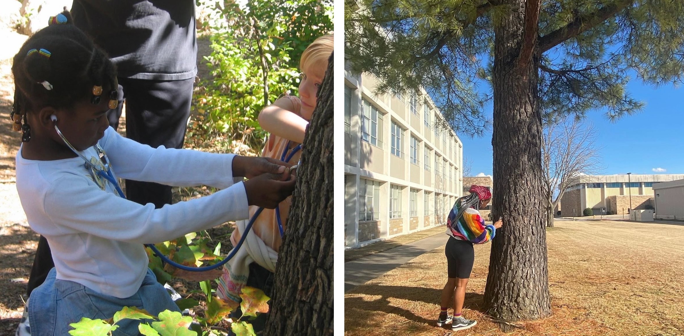 Karina-Cunningham_student-tree