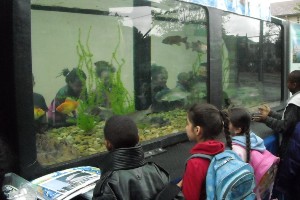 Kids-Fish-Aquarium_300x200