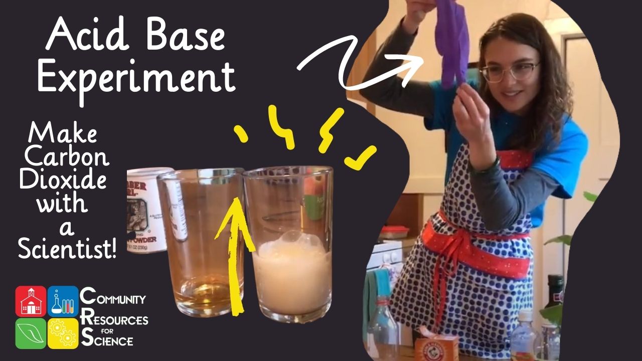 Science At Home with Jade Acid Base Experiment Video Cover