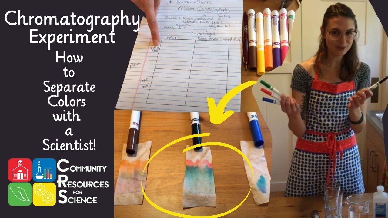 Science At Home with Jade Chromatography Experiment Video Cover