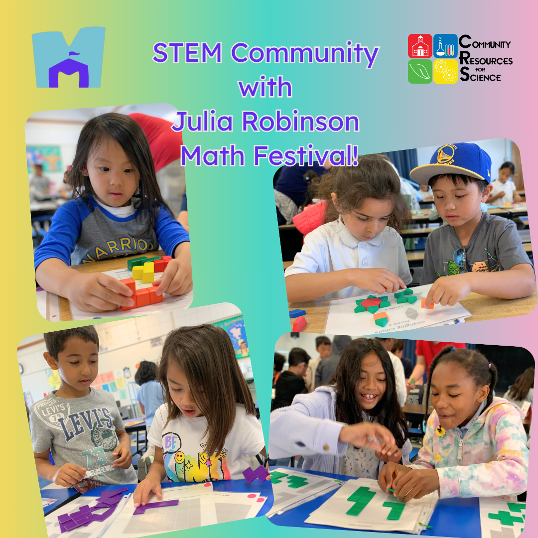 julia robinson festival