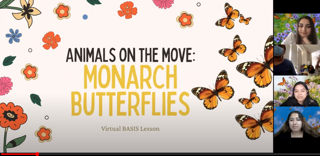 monarch lesson 2